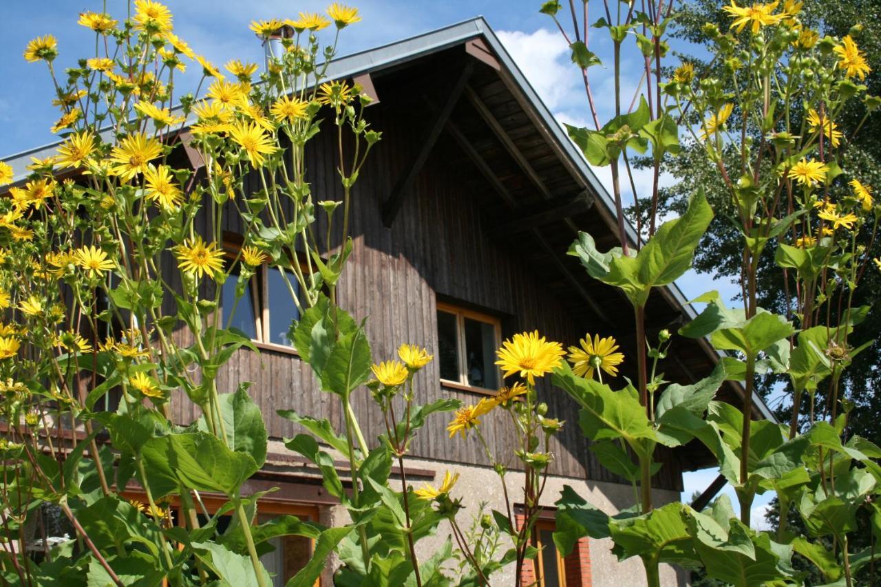 Notre Cachette Bed and Breakfast Biffontaine Eksteriør billede